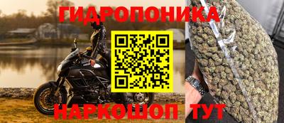 jwh Бийск