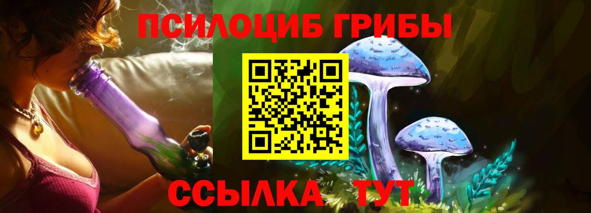 Галлюциногенные грибы мухоморы Заводоуковск